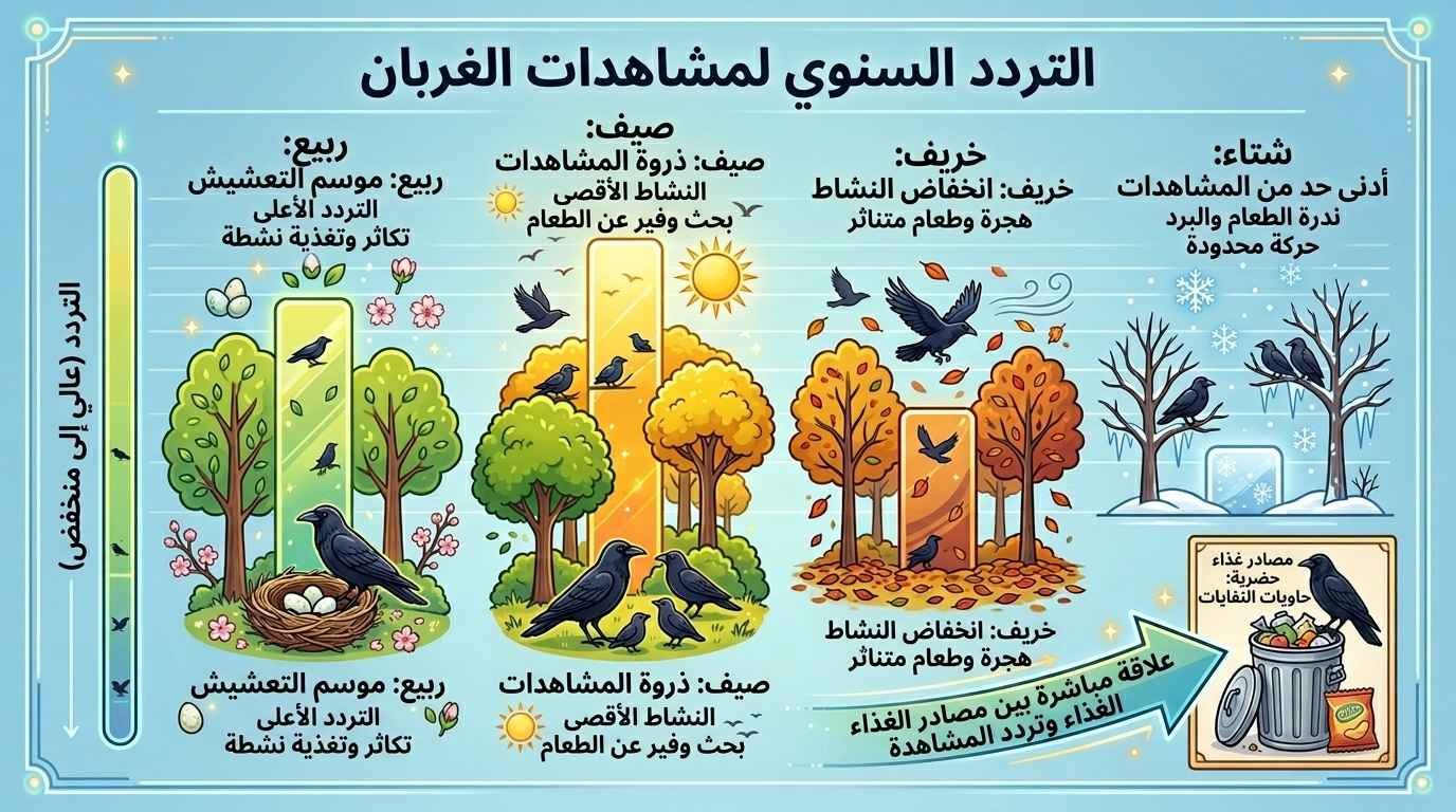 متى يكون تكرار ظهور الغراب أمرا طبيعيا