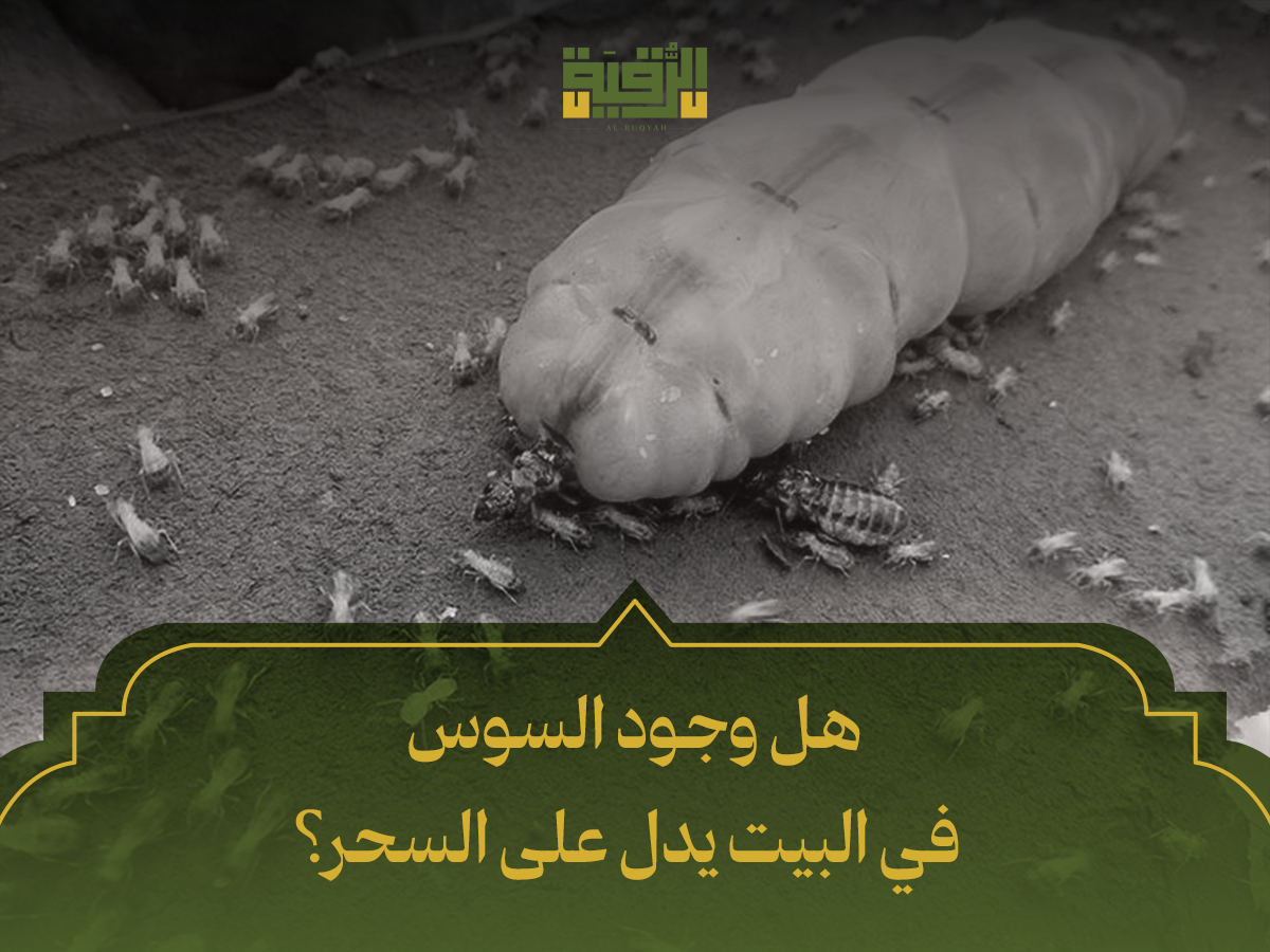 هل وجود السوس في البيت يدل على السحر