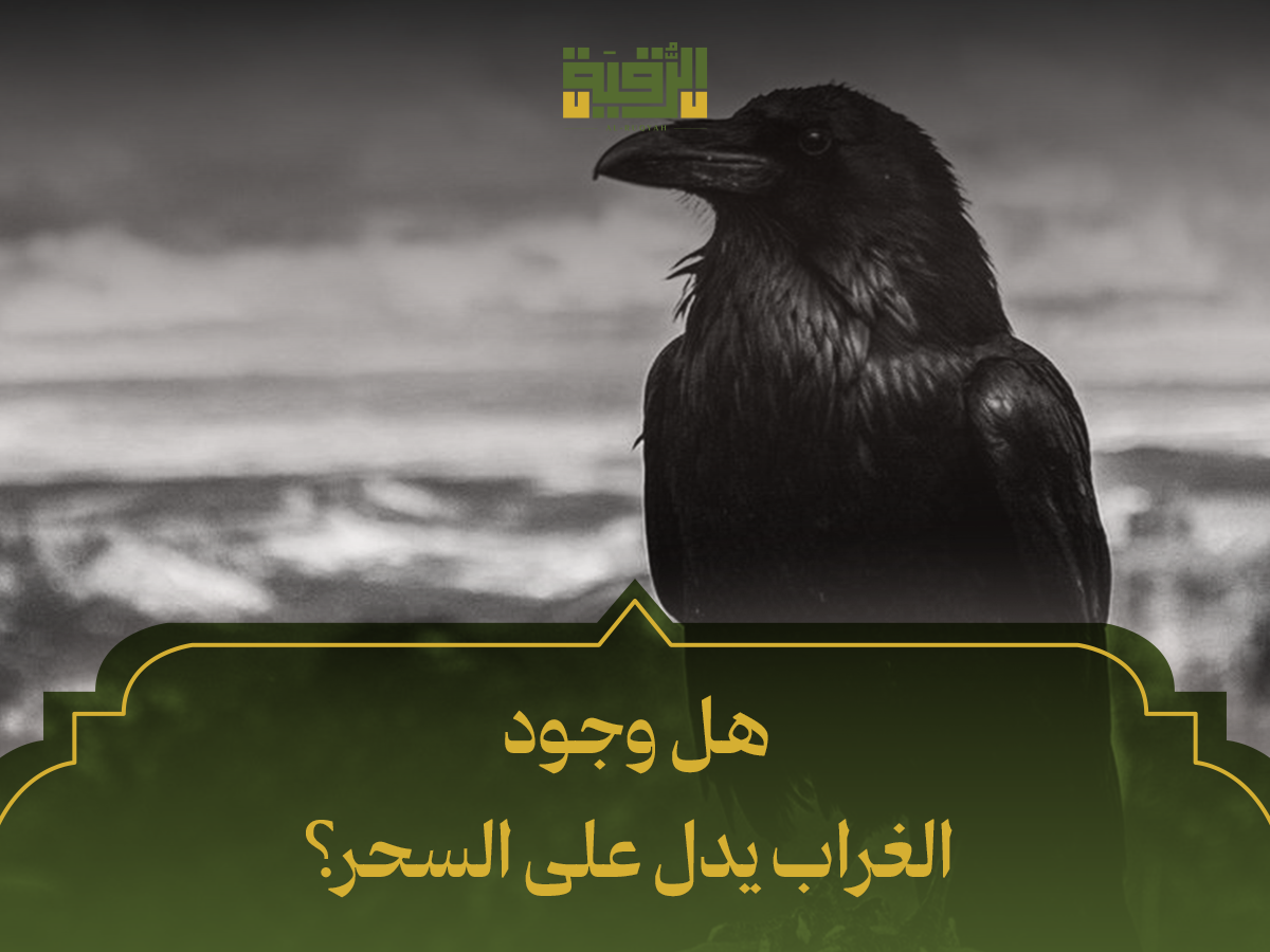 هل وجود الغراب يدل على السحر_