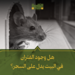 هل وجود الفئران في البيت يدل على السحر