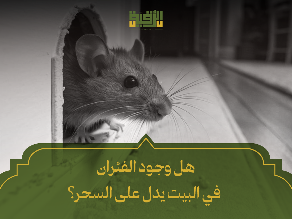 هل وجود الفئران في البيت يدل على السحر
