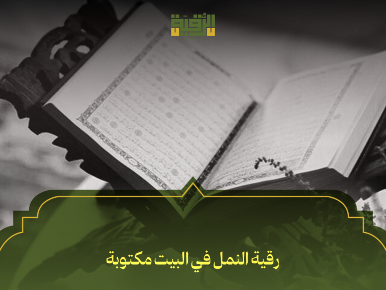 رقية النمل في البيت مكتوبة: أفضل 7 طرق شرعية للتخلص من النمل نهائياً وحماية منزلك
