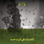الحشرات في البيت حسد