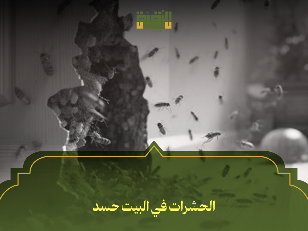 الحشرات في البيت حسد