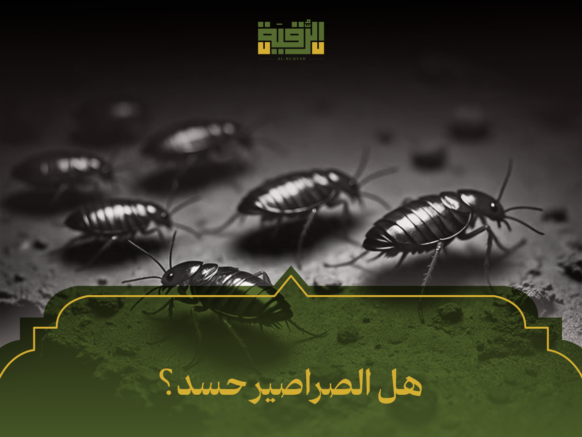 هل الصراصير حسد